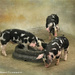 Three Little Pigs by lynne5477