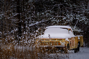 31st Jan 2017 - an old truck in the snow