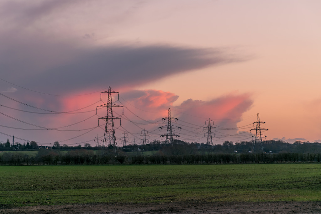 Pink and Pylons  by rjb71