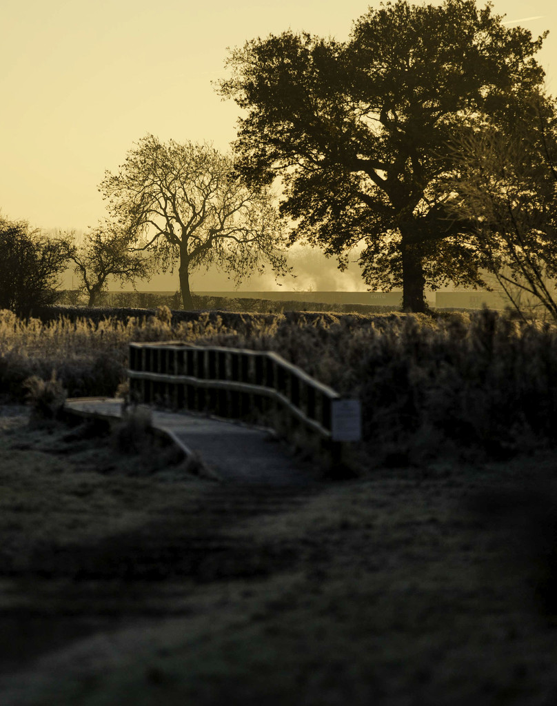 Bridge to Dawn by shepherdmanswife