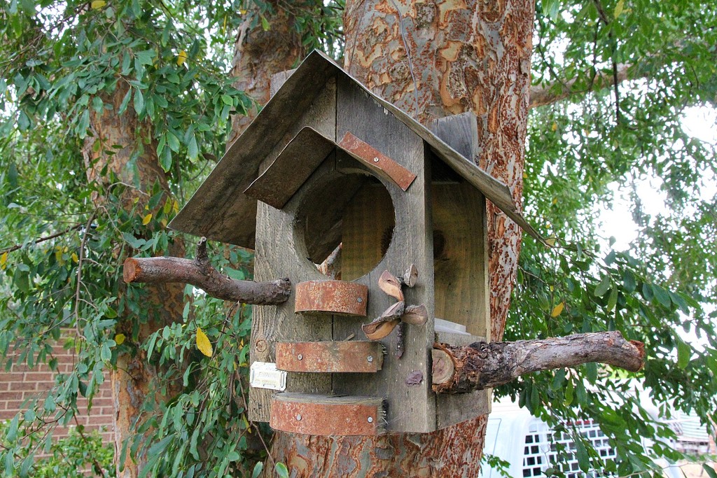 Birdhouse feeder by leggzy
