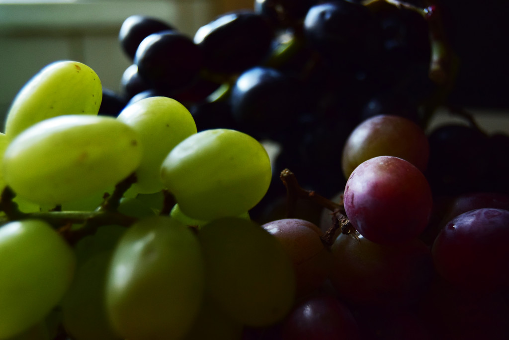 grapes by ianmetcalfe