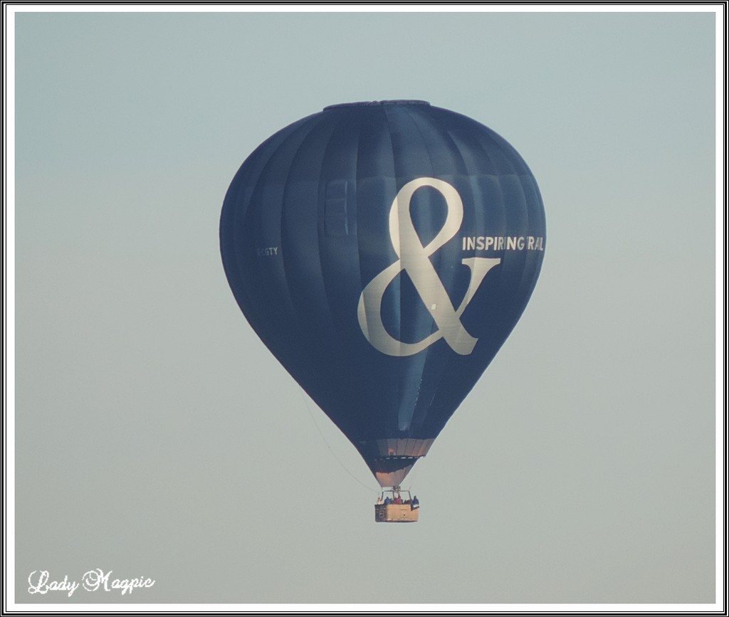 Ballooning in the Frost 2. by ladymagpie