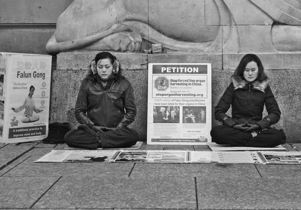 Meditation and Petition by phil_howcroft