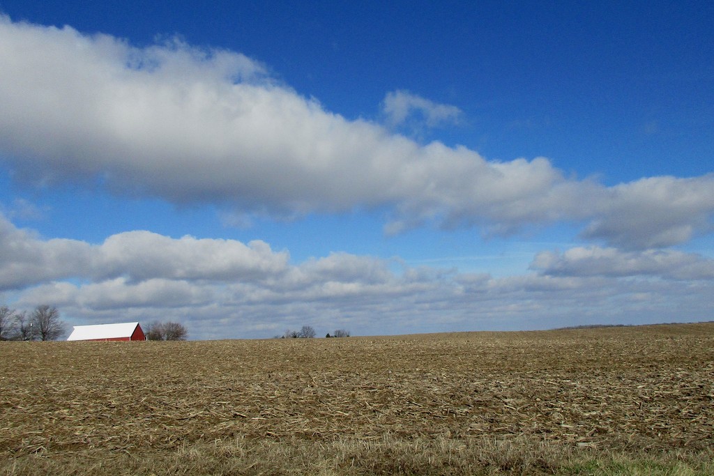 Empty Fields by tunia