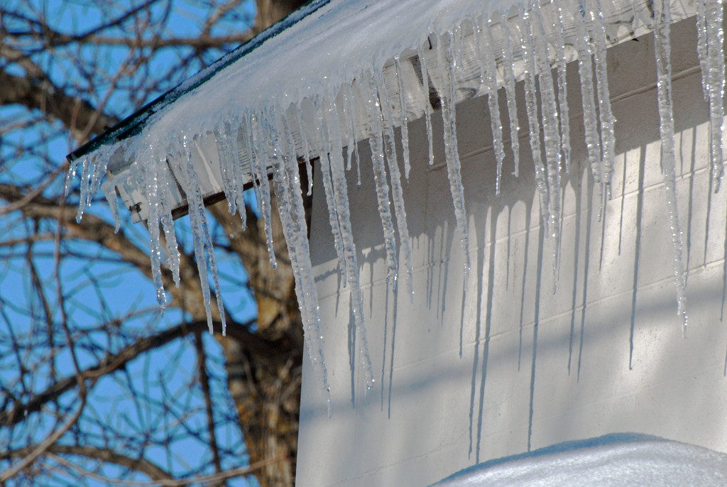 January Word - Icicles by farmreporter