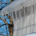 January Word - Icicles by farmreporter