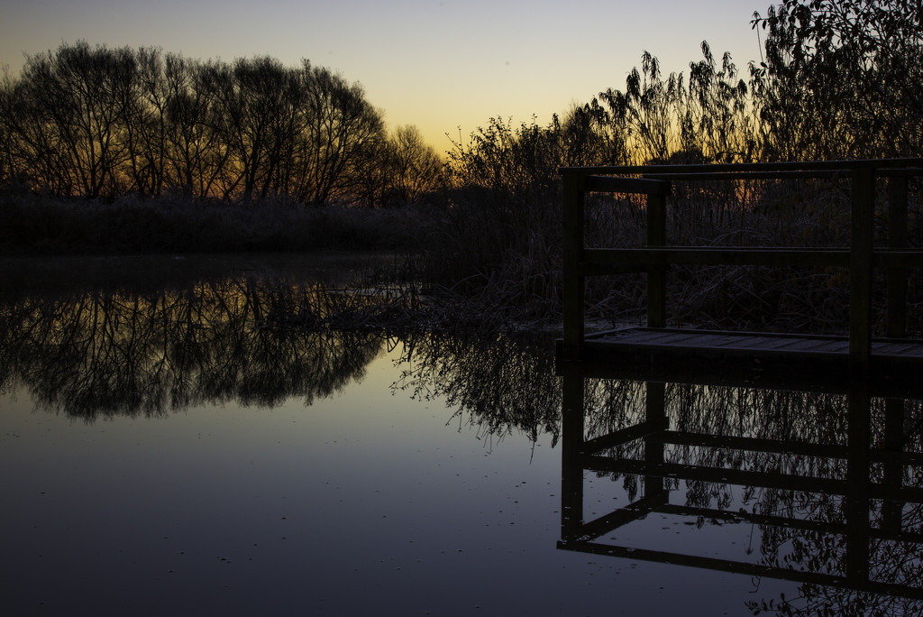 Pond at Dawn by shepherdmanswife