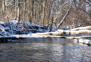 2nd Feb 2017 - The creek