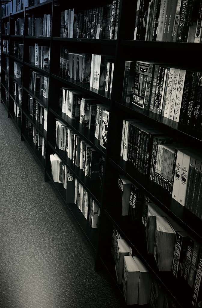Day 155:  Shelves At the Bookstore  by sheilalorson
