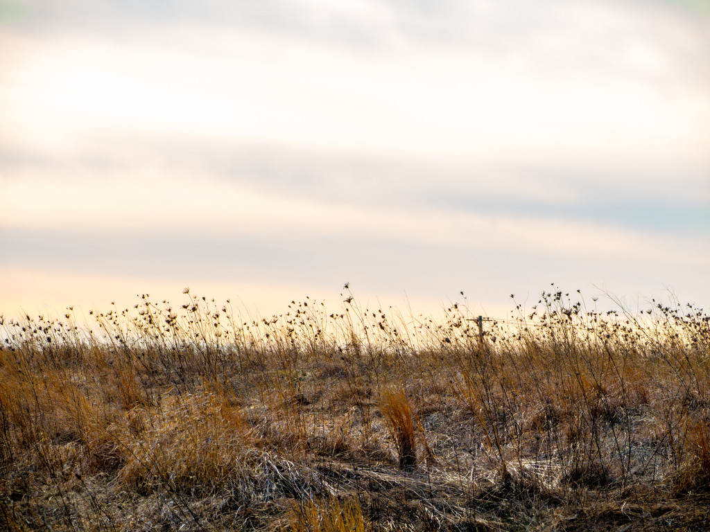 Prairie by rminer