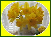 28th Jan 2011 - A vase of Daffodils. 3 2 2017.