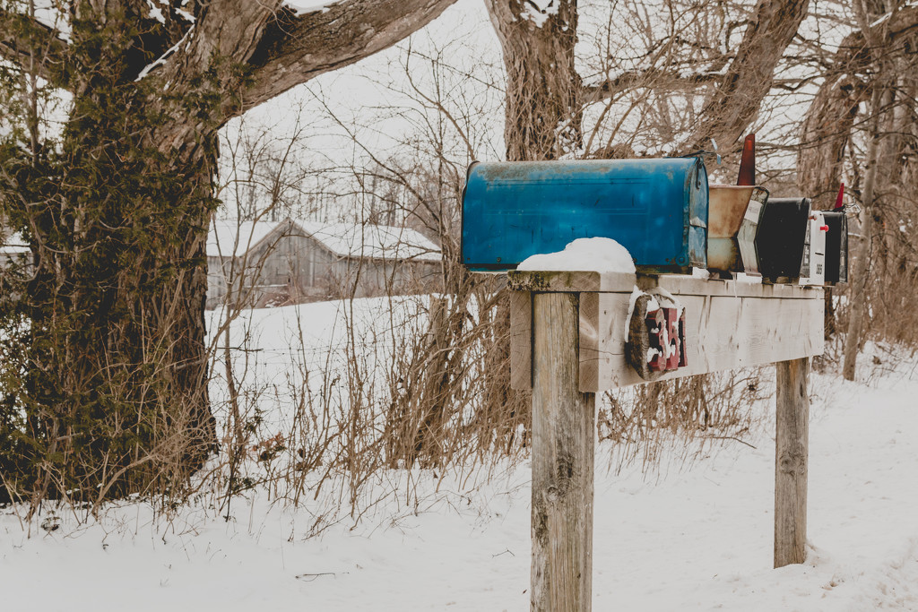 Blue Mailbox by tracymeurs
