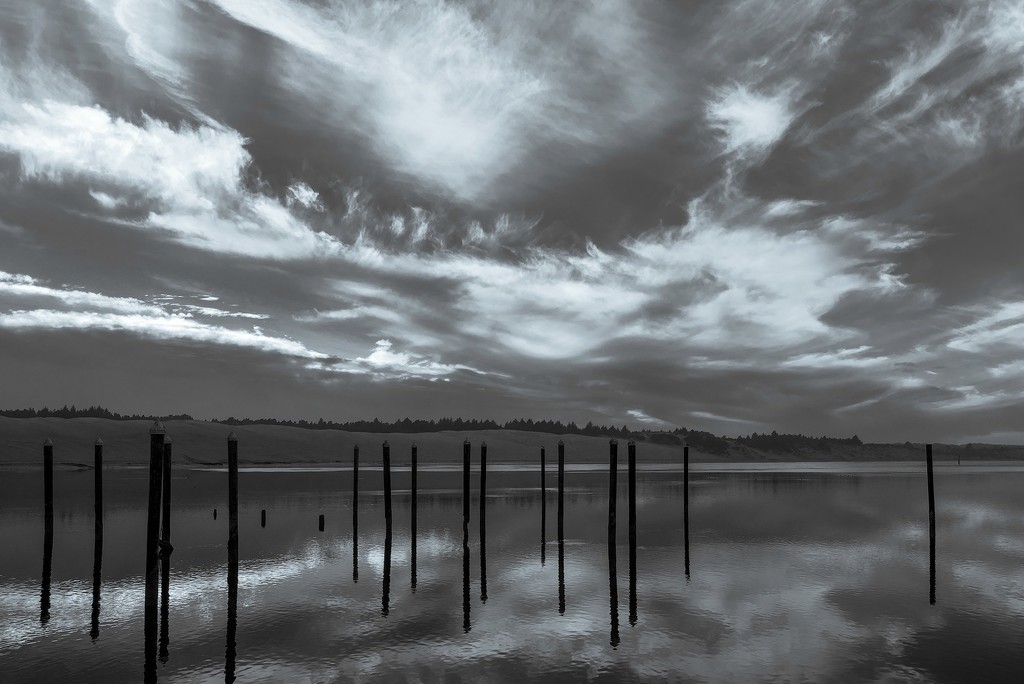 Black and White Siuslaw Pilings by jgpittenger