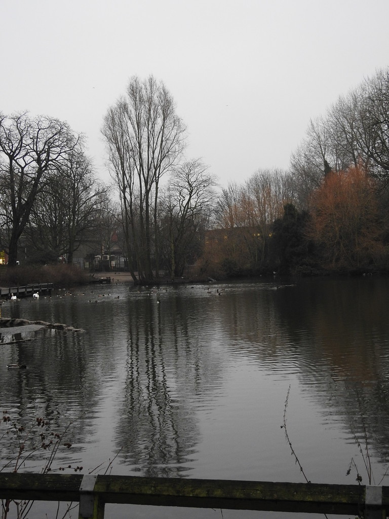 Pond Vernon Park by oldjosh