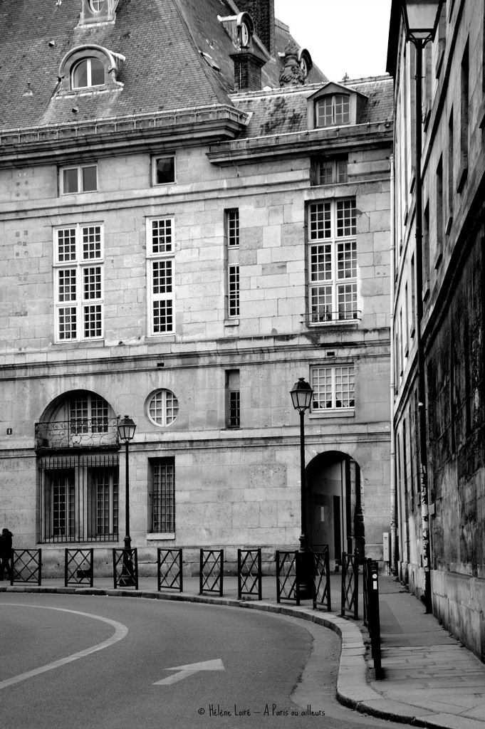 The back of the Institut de France by parisouailleurs