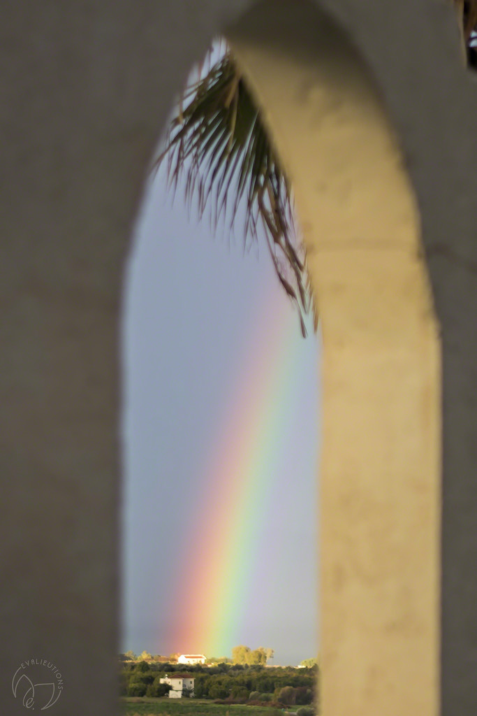 Rainbow Framed by evalieutionspics