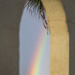Rainbow Framed by evalieutionspics