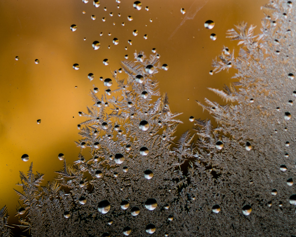 Jack Frost Portrait Landscape by rminer