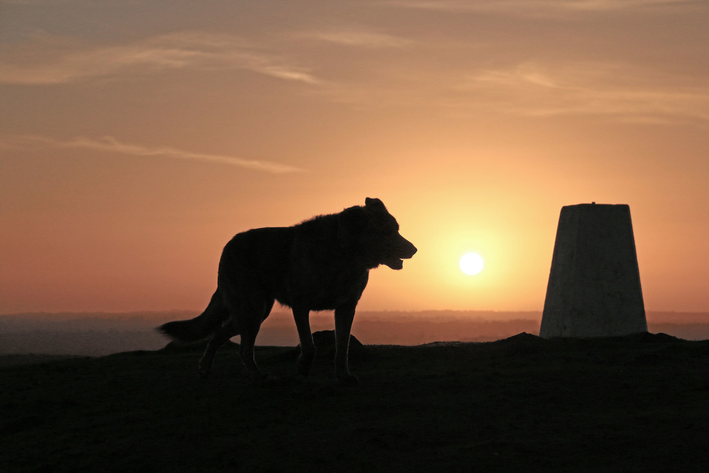 Sunrise on Croft Hill by shepherdman
