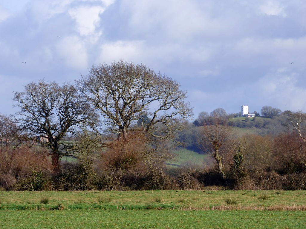 Walton windmill from Kings Sedgemoor by julienne1