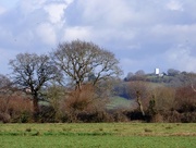 4th Feb 2017 - Walton windmill from Kings Sedgemoor