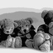 Teddy bears picnic by judithdeacon