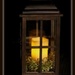 Soft Glow of Lantern Light by essiesue