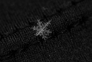 4th Feb 2017 - My Macro Snowflake Obsession