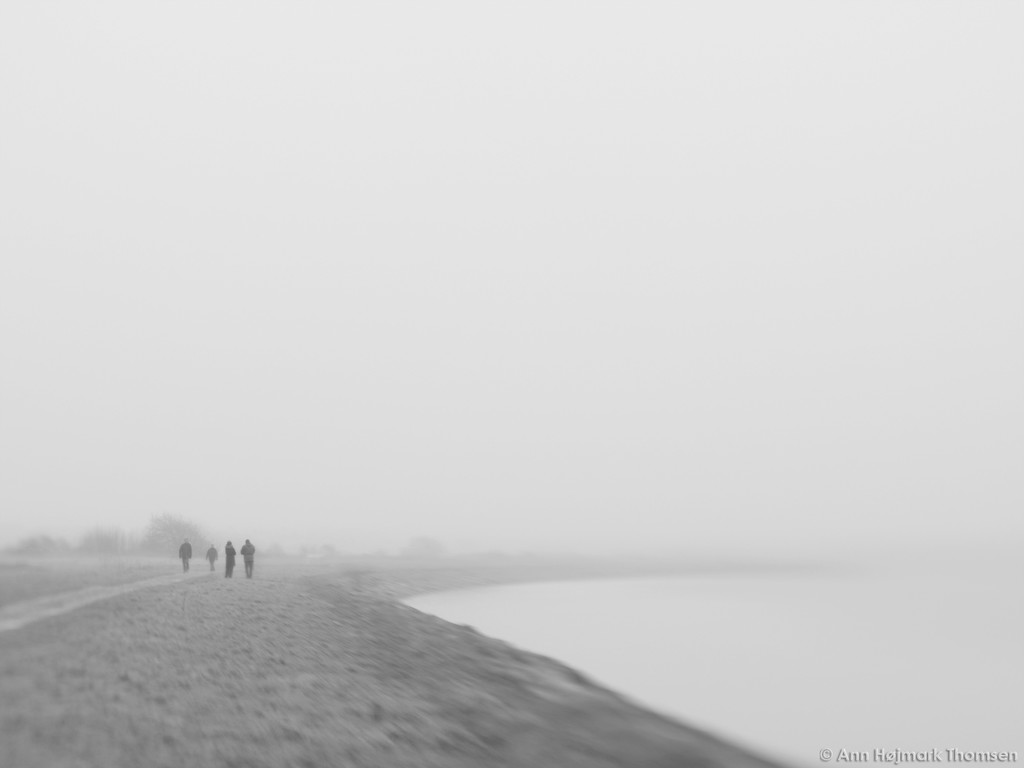 Misty Sunday walks along the fjord by atchoo