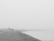 5th Feb 2017 - Misty Sunday walks along the fjord