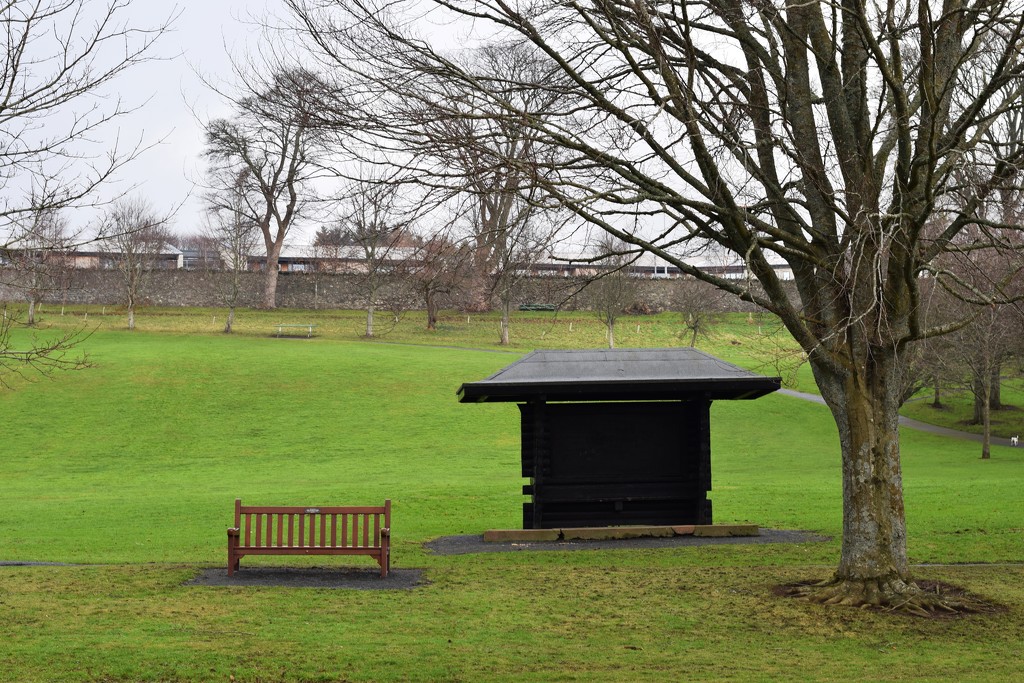 bench, shelter, tree by christophercox
