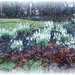 snowdrops, twigs and snow effect by sarah19