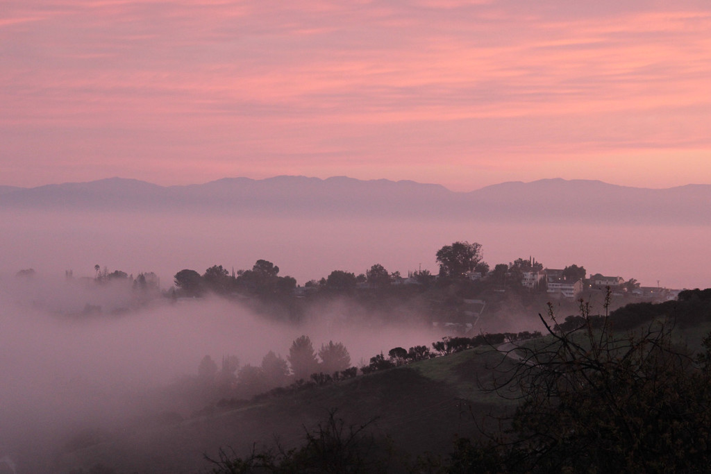 Morning Mist by jaybutterfield