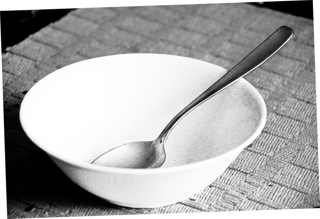 Empty Bowl by houser934