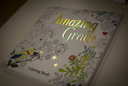 5th Feb 2017 - Amazing Grace