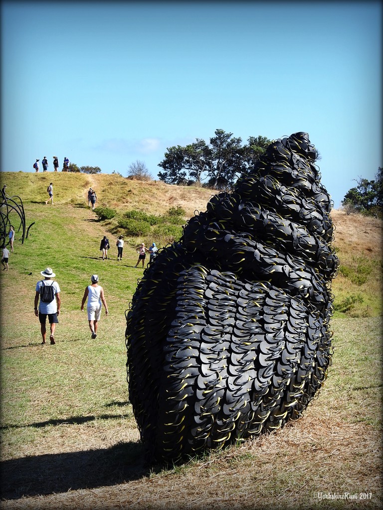 Giant Whelk by yorkshirekiwi