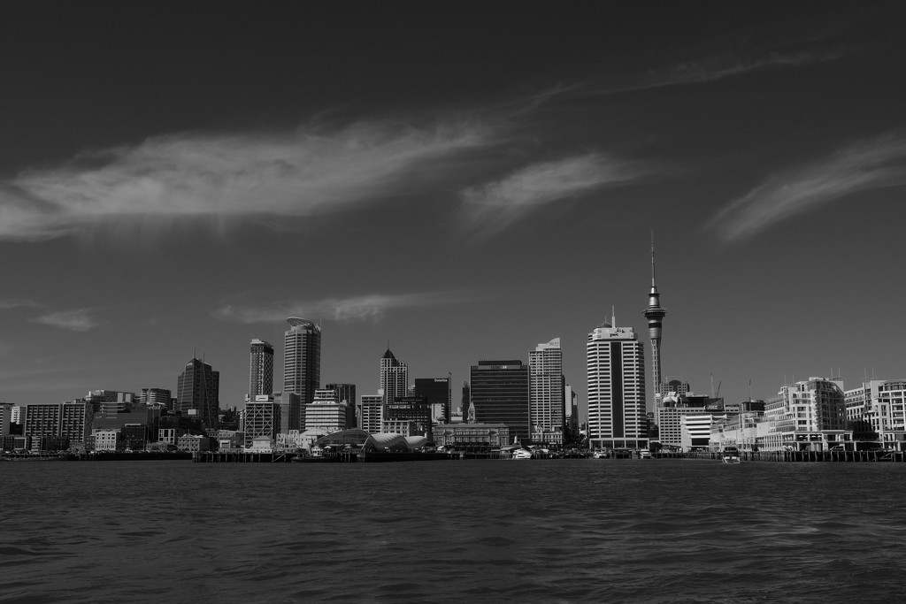 Auckland city by dkbarnett