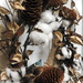 Cotton and Pine Cones by homeschoolmom
