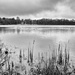 PLAY February - Fujinon 18mm f/2: Holly Path Lake by vignouse