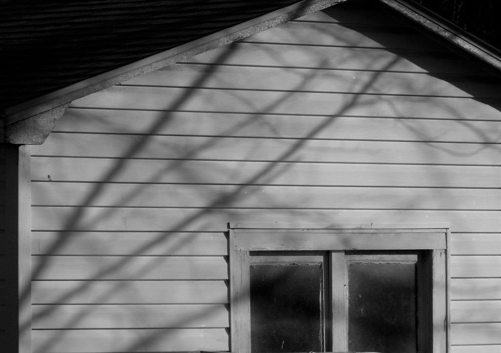 Shadows across the shed by daisymiller