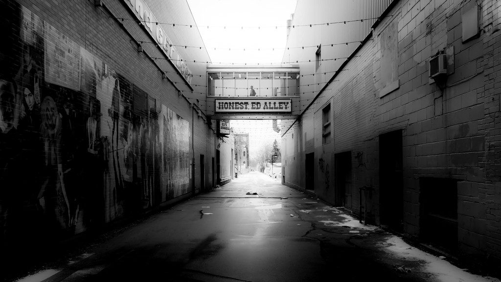 back alley by northy