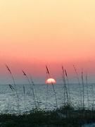 5th Feb 2017 - Sunset At Indian Rocks Beach, FL