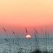 Sunset At Indian Rocks Beach, FL by gardenfolk