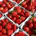 Strawberries by gardenfolk
