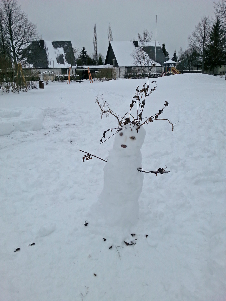 Snowman - snowgirl? by annelis