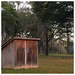 Florida Outhouse by wilkinscd