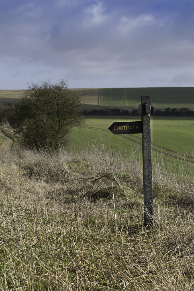 Footpath Sign on The Ridgeway by jon_lip