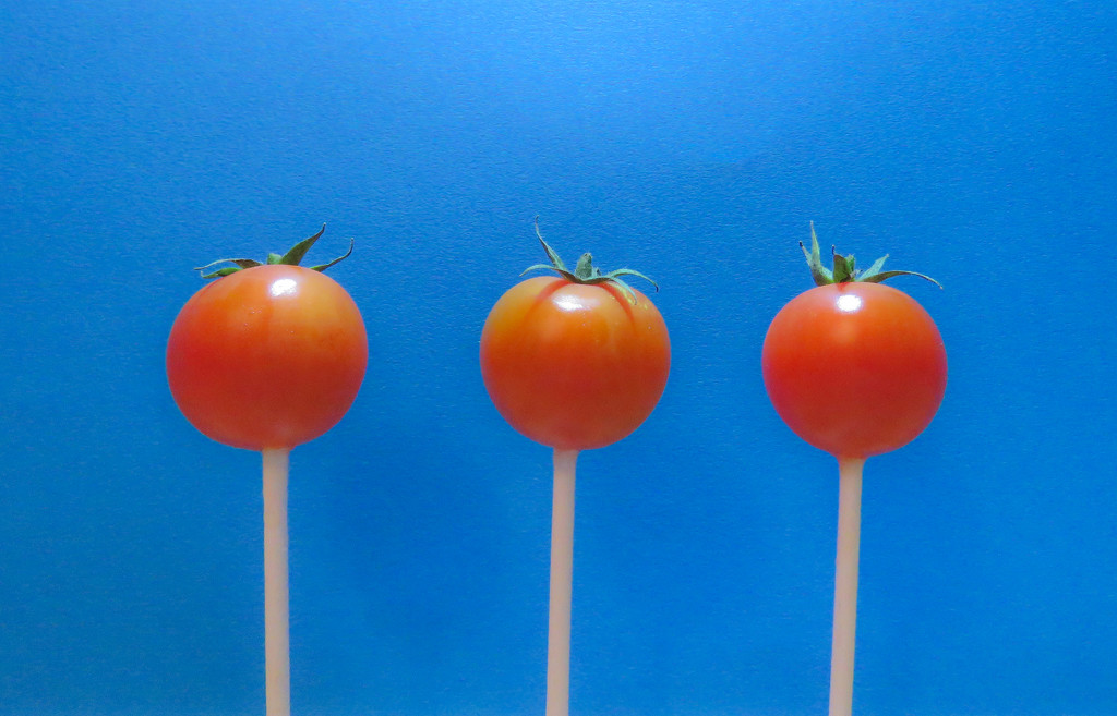 Tomato pops by m2016