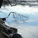 Winter Reflections by deborahsimmerman